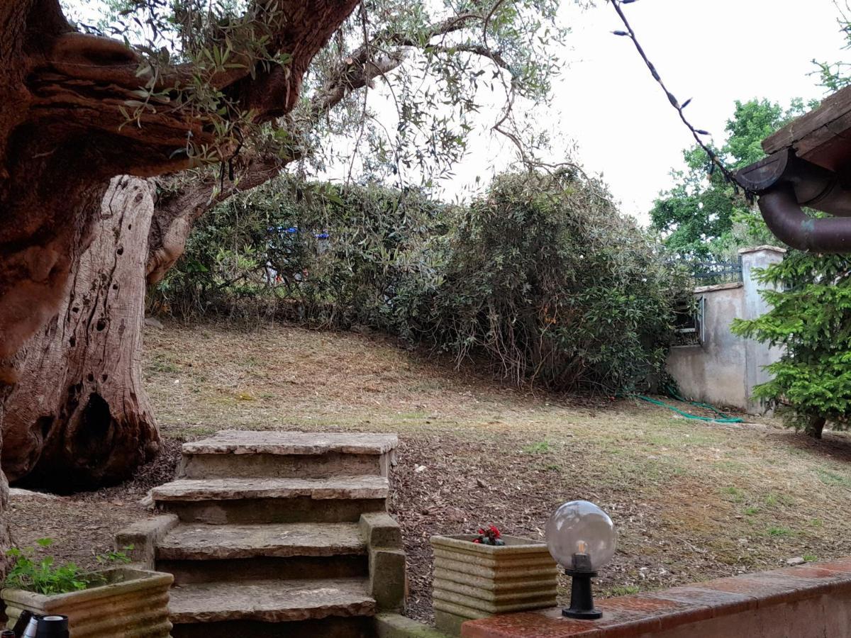 דירות San Savino  I Gufetti 2 מראה חיצוני תמונה